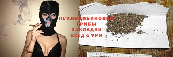 индика Коряжма