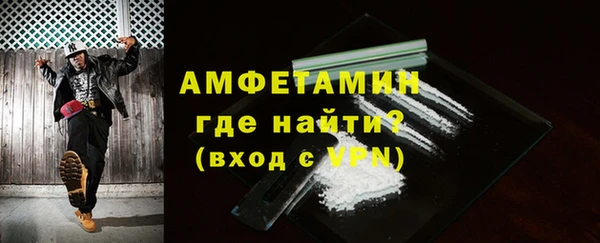 индика Коряжма