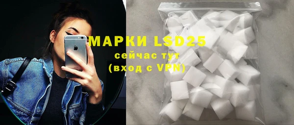 индика Коряжма