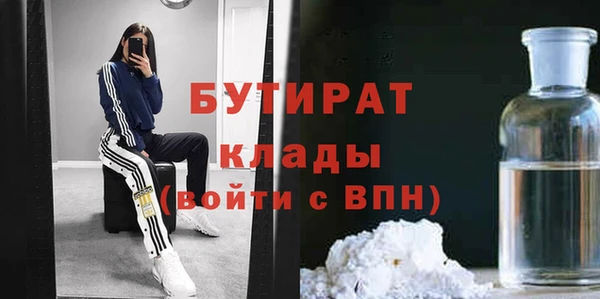 индика Коряжма