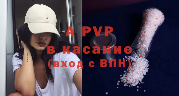 индика Коряжма