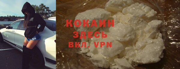 индика Коряжма
