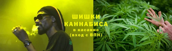 индика Коряжма