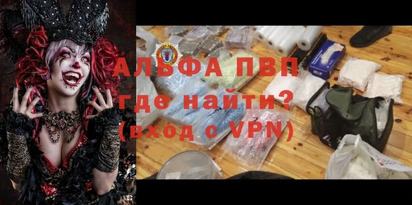 индика Коряжма
