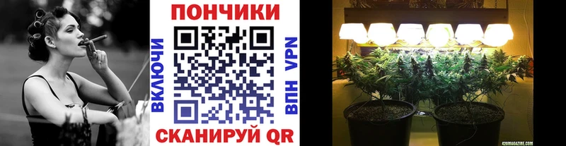 МАРИХУАНА сатива  Чёрмоз 